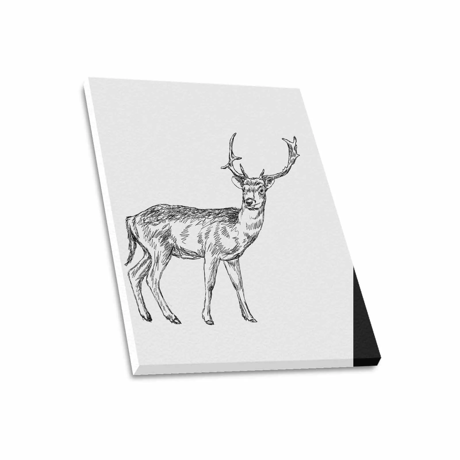 Uniquely You Wall Art / Deer  Frame Canvas Print 20"x24"