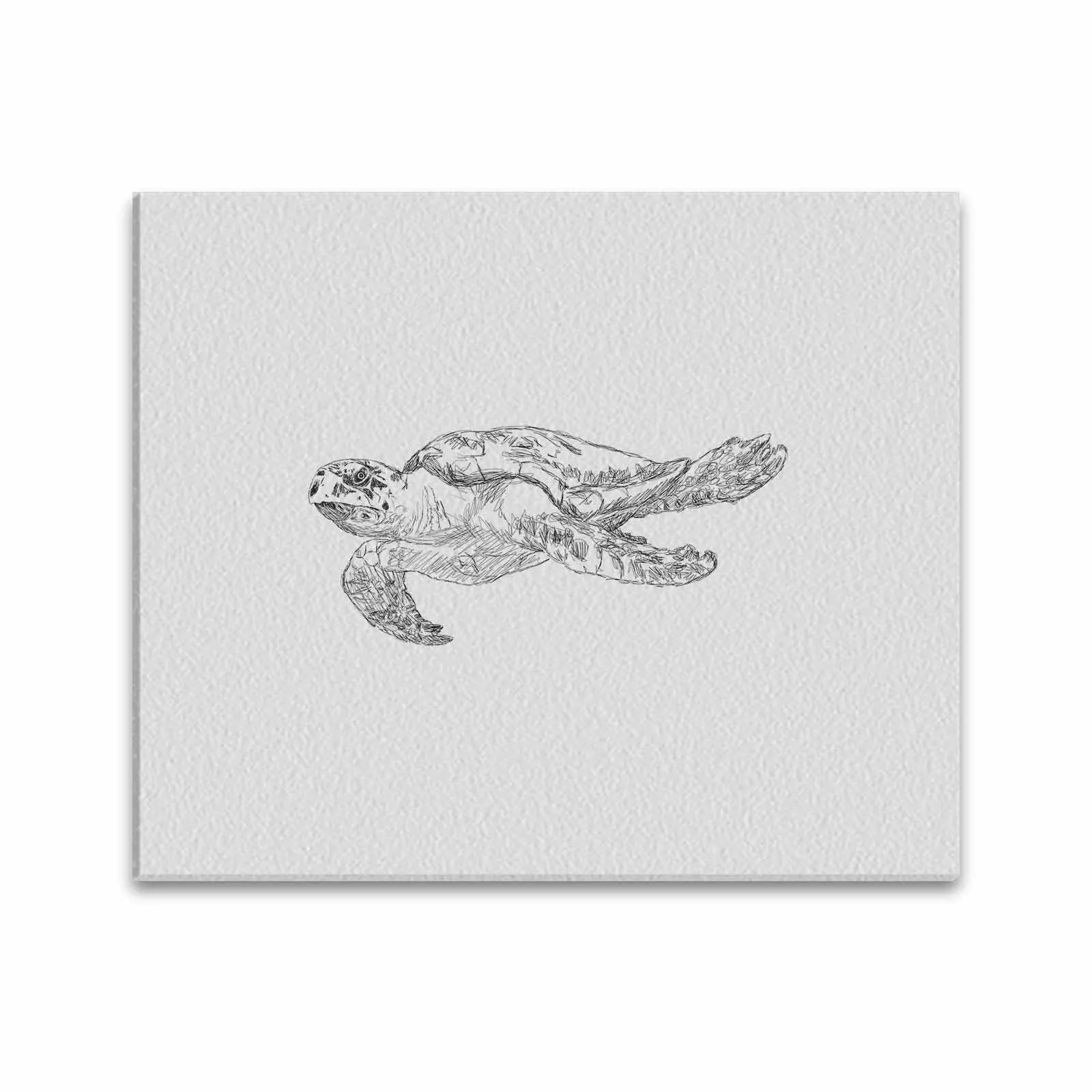 Uniquely You Wall Art / Sea Turtle  Frame Canvas Print 24"x20"