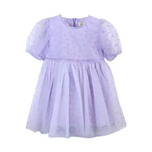 Velvet Heart Mesh Dress Purple