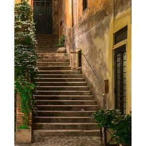 Vine Covered Staircase Printed Backdrop