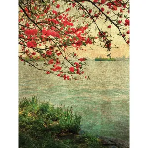 Vintage Lake Printed Backdrop