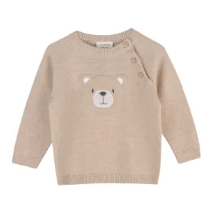 Viverano Organics Teddy Bear Applique Raglan Pullover Sweater