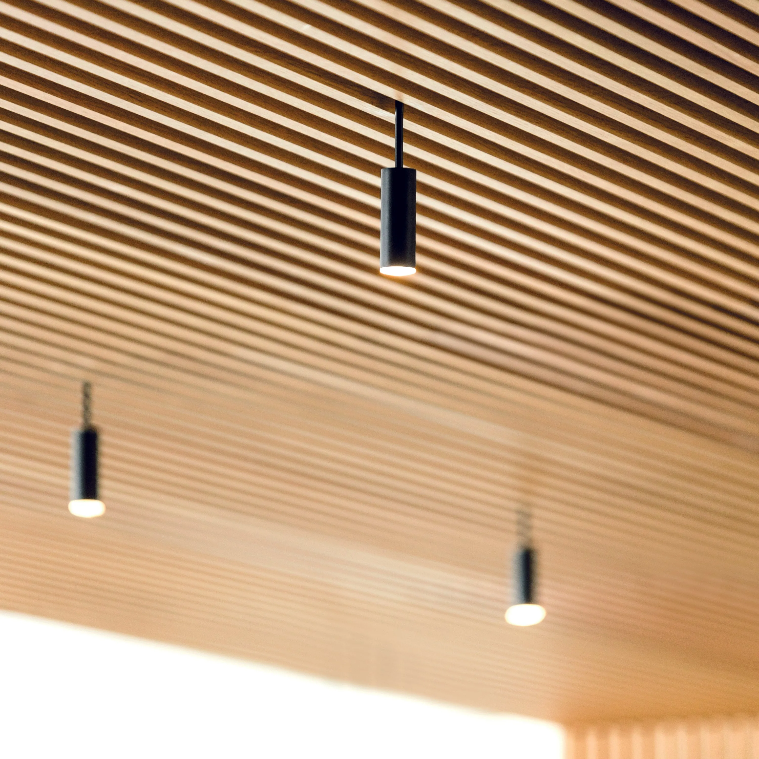 Volta Pendant Light