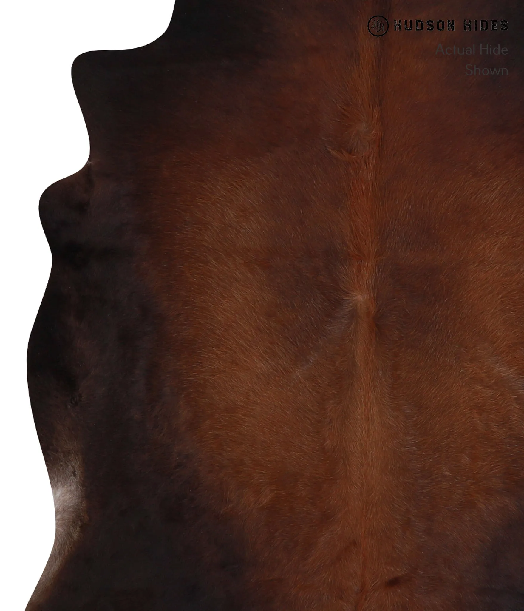 Warm Caramel Large Brazilian Cowhide Rug 6'1"H x 5'9"W #A3277 by Hudson Hides