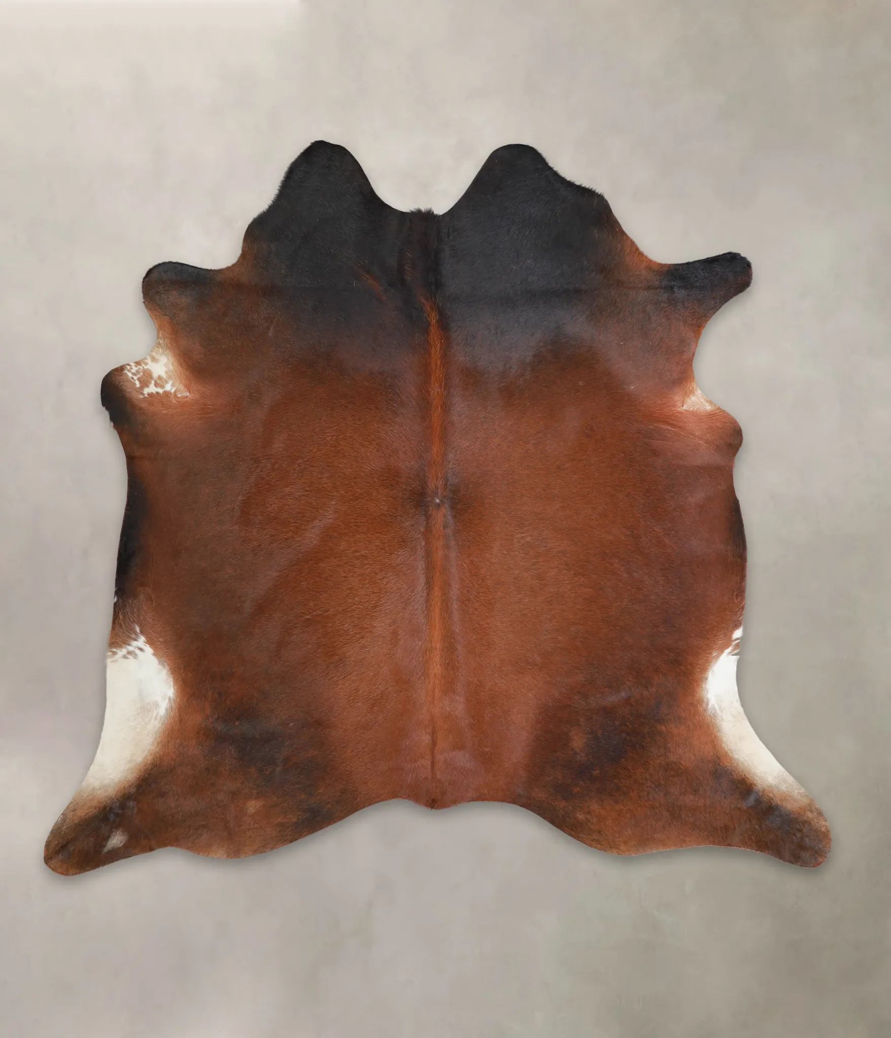 Warm Caramel X-Large Brazilian Cowhide Rug 6'3"H x 6'8"W #A24167 by Hudson Hides