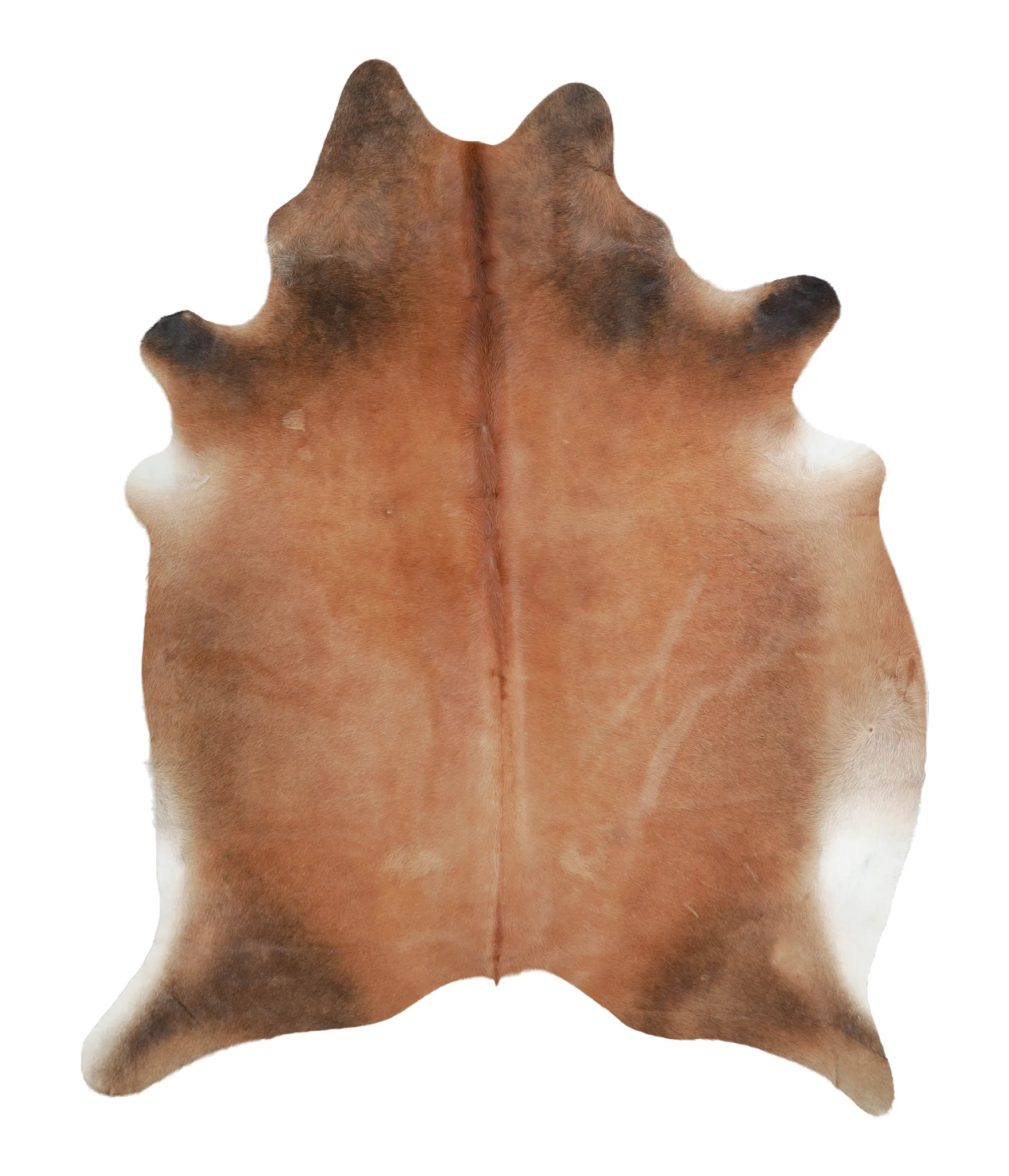 Warm Caramel X-Large Brazilian Cowhide Rug 7'6"H x 5'11"W #A21618 by Hudson Hides