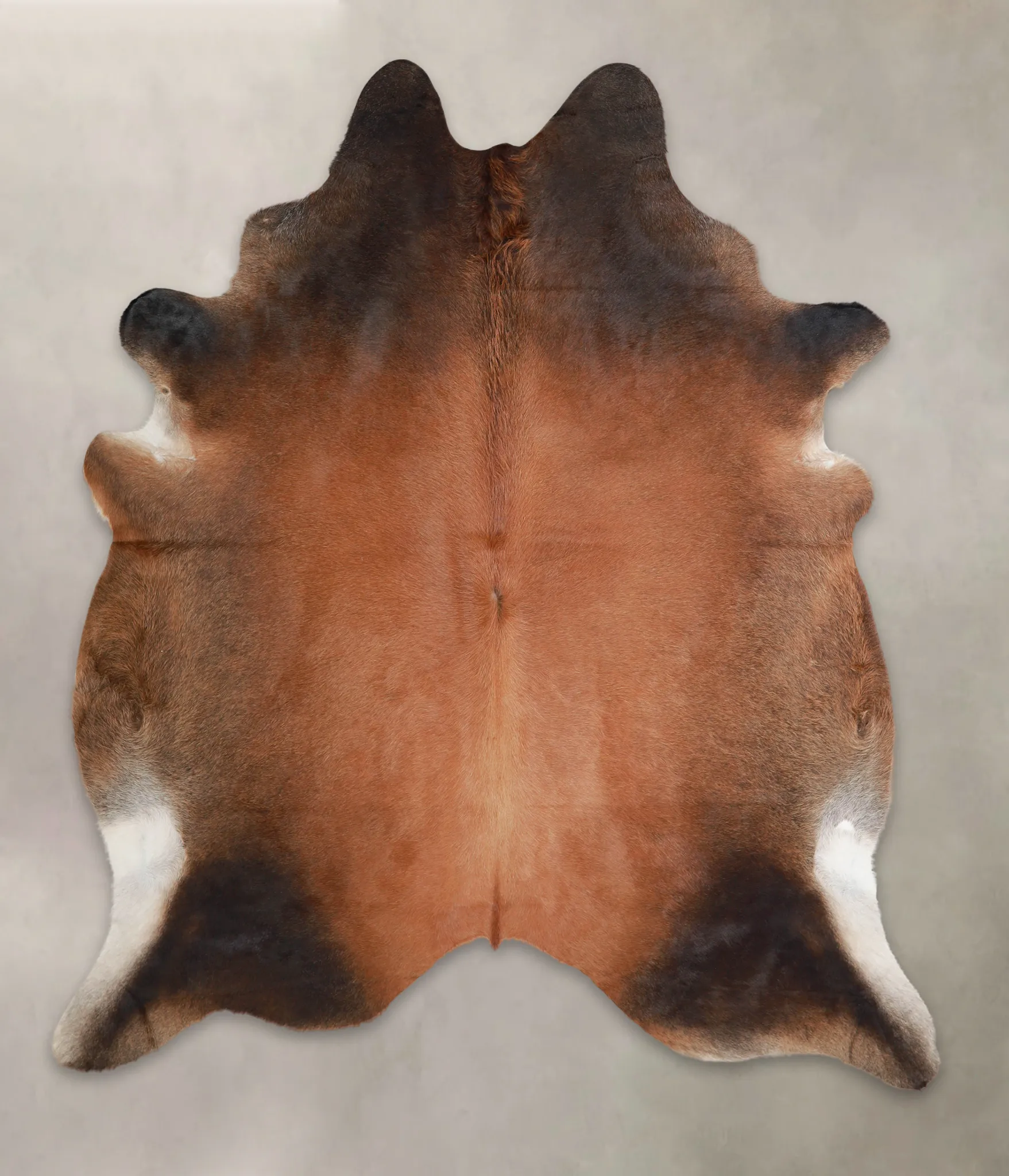 Warm Caramel X-Large Brazilian Cowhide Rug 7'7"H x 6'5"W #A22396 by Hudson Hides