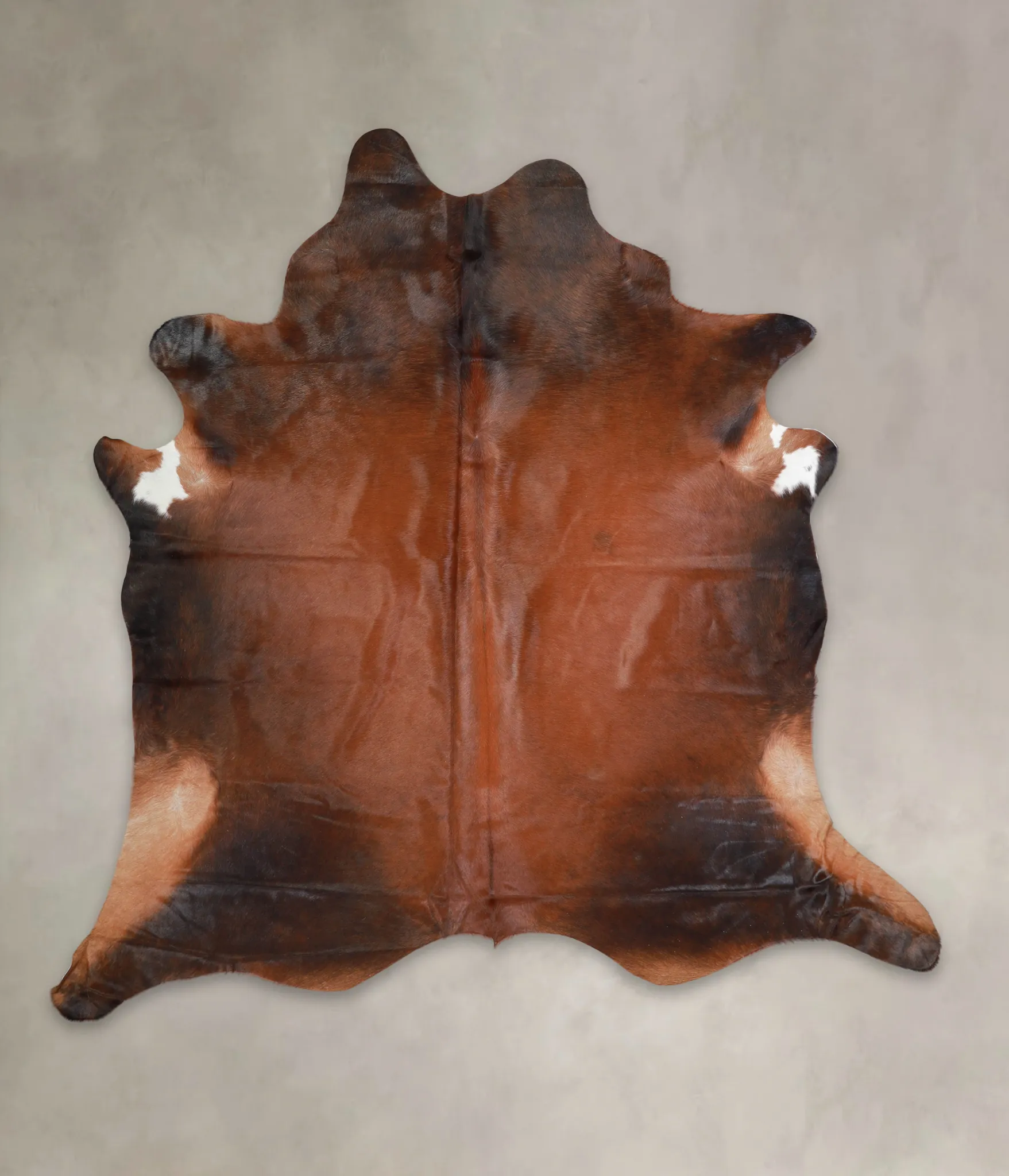 Warm Caramel XX-Large Brazilian Cowhide Rug 7'6"H x 7'5"W #A24611 by Hudson Hides