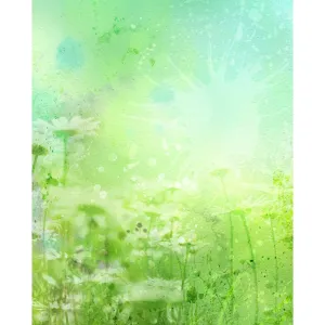 Watercolor Daisies Printed Backdrop