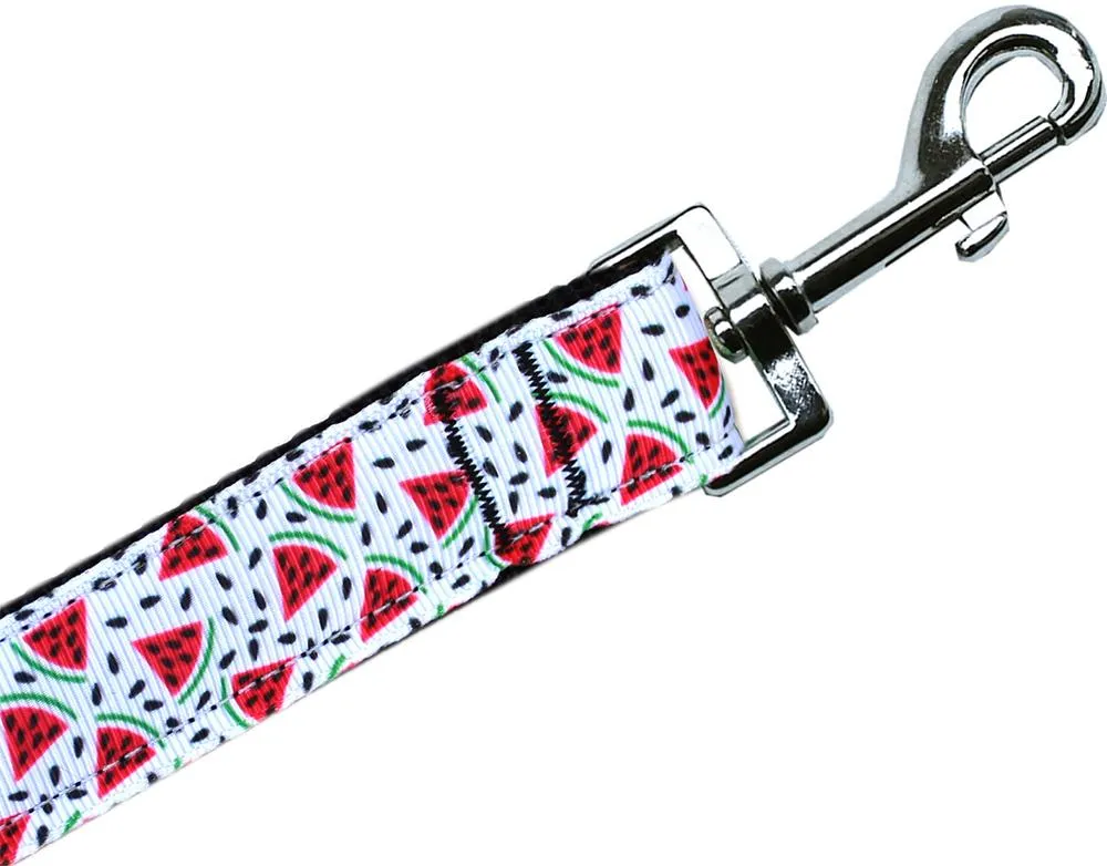 Watermelon Nylon Pet Leash 1in By 6ft