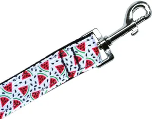 Watermelon Nylon Pet Leash 1in By 6ft