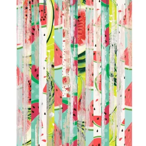 Watermelon Planks Printed Backdrop