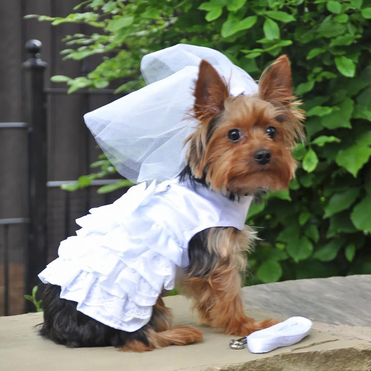 Wedding Dress Dog Harness with Veil