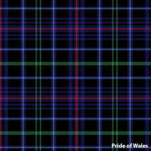 Welsh Tartan Ties