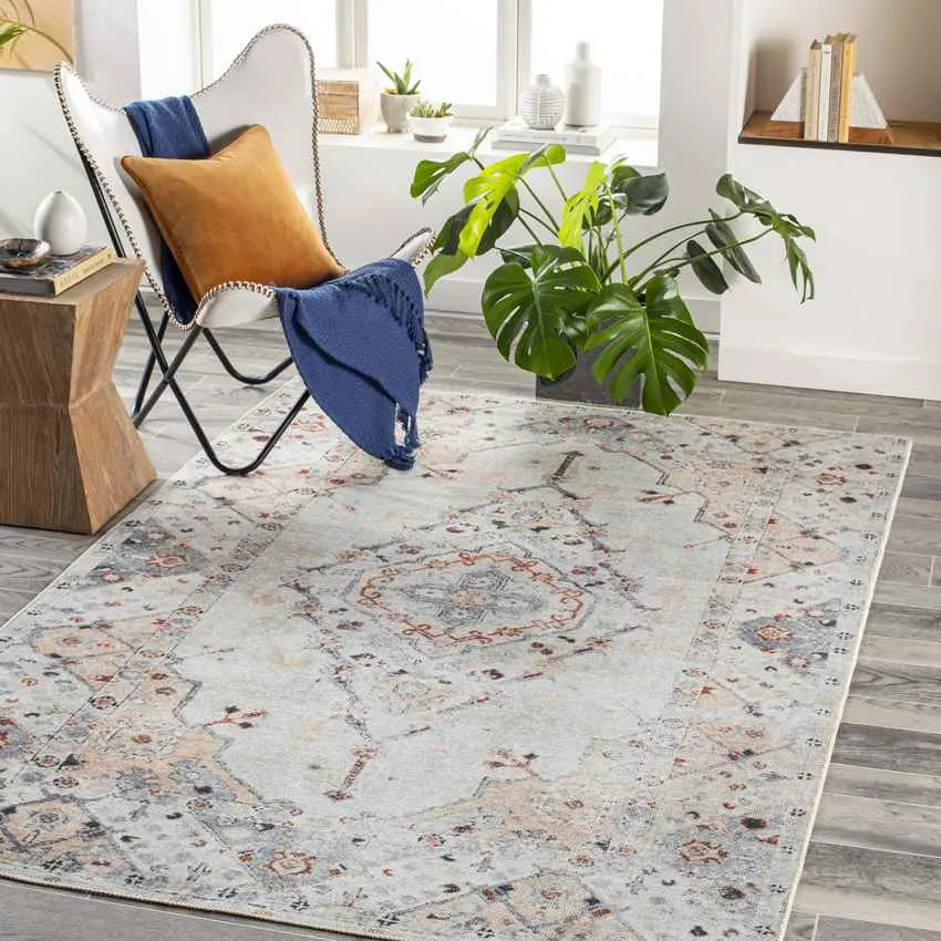 Westside Traditional Light Gray Washable Area Rug