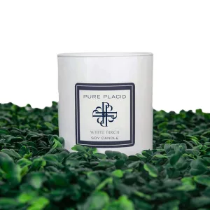 White Birch Soy Candle