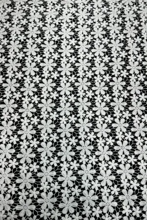 White Corded Floral Web Embroidery Fabric