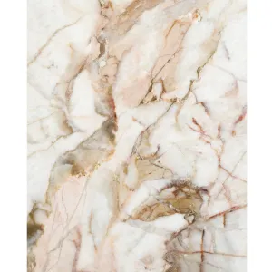 White Onyx Marble Printed Backdrop