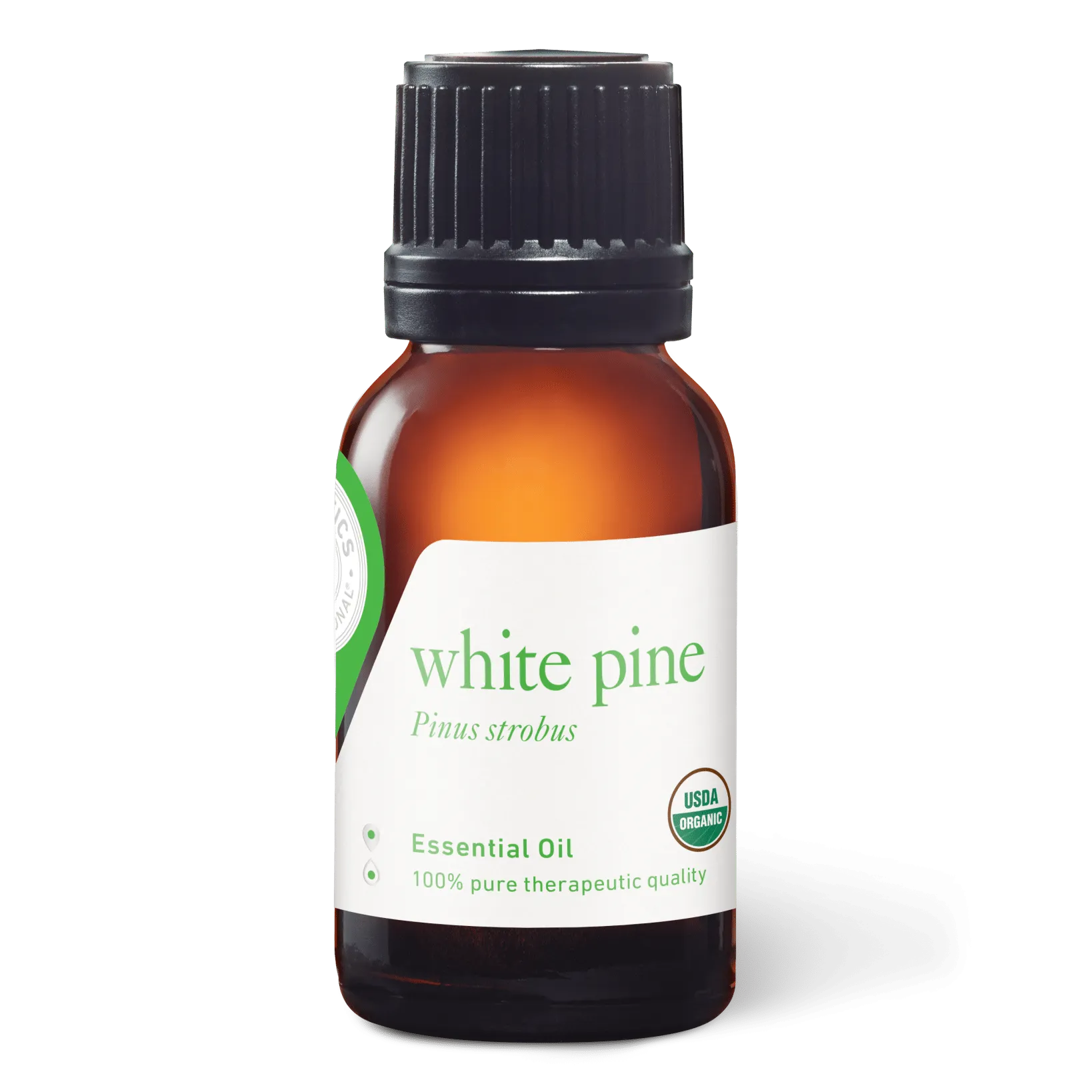 White Pine Essential Oil