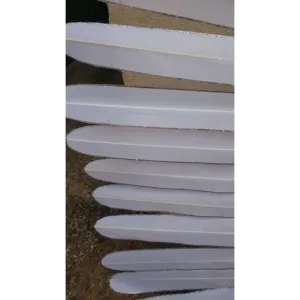 White Plain Acetate Feathers