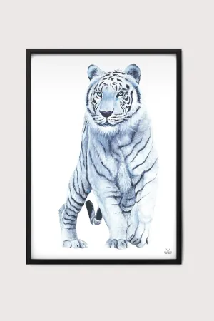 White Tiger Fine Art Print