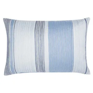 Winscombe Seaspray Cushion