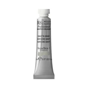 Winsor & Newton Professional Watercolour 5ml - S1 - Davy's Gray