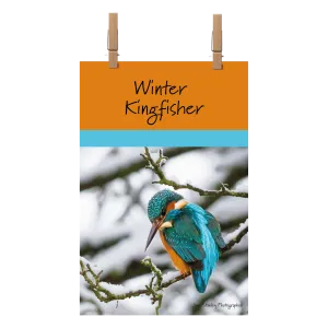 Winter Kingfisher Towel