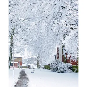 Winter Sidewalk Printed Backdrop