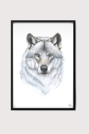 Winter Wolf Fine Art Print