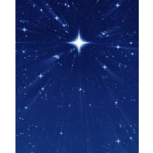 Wish Upon a Star Printed Backdrop