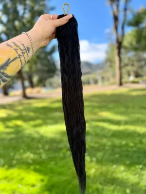 Wispy Black Tail