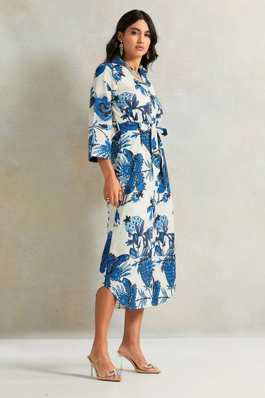 Women White And Blue Floral Printed Dress