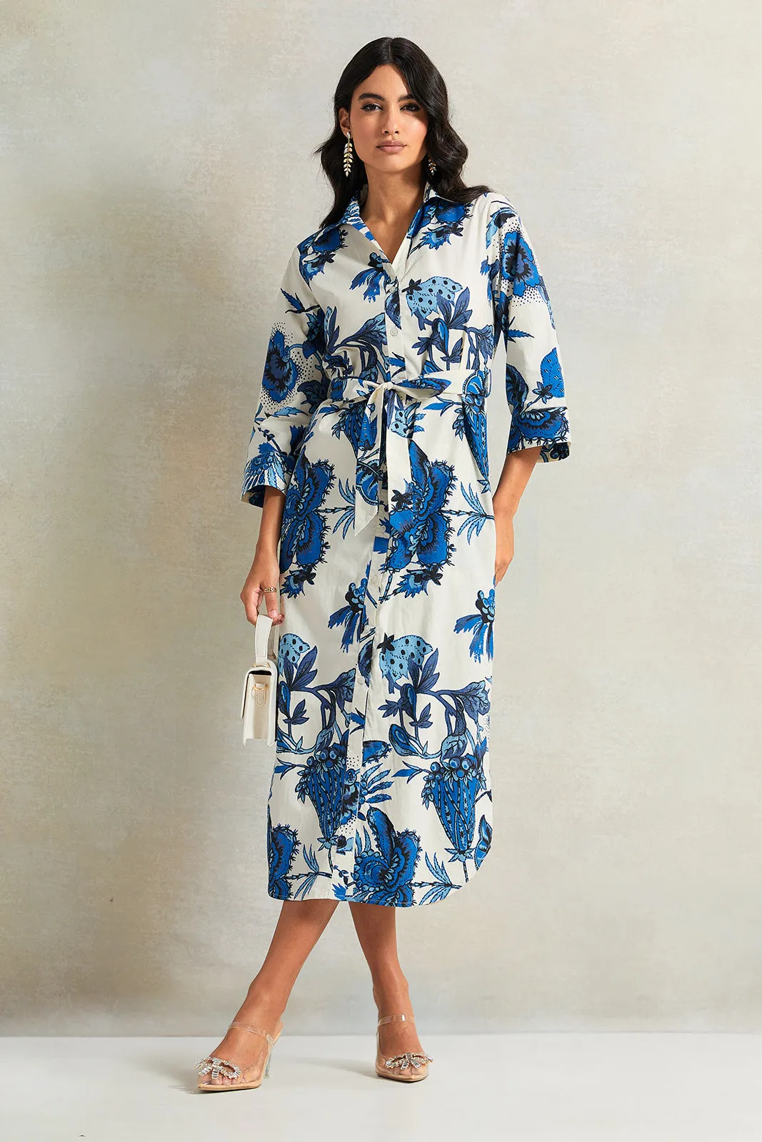 Women White And Blue Floral Printed Dress