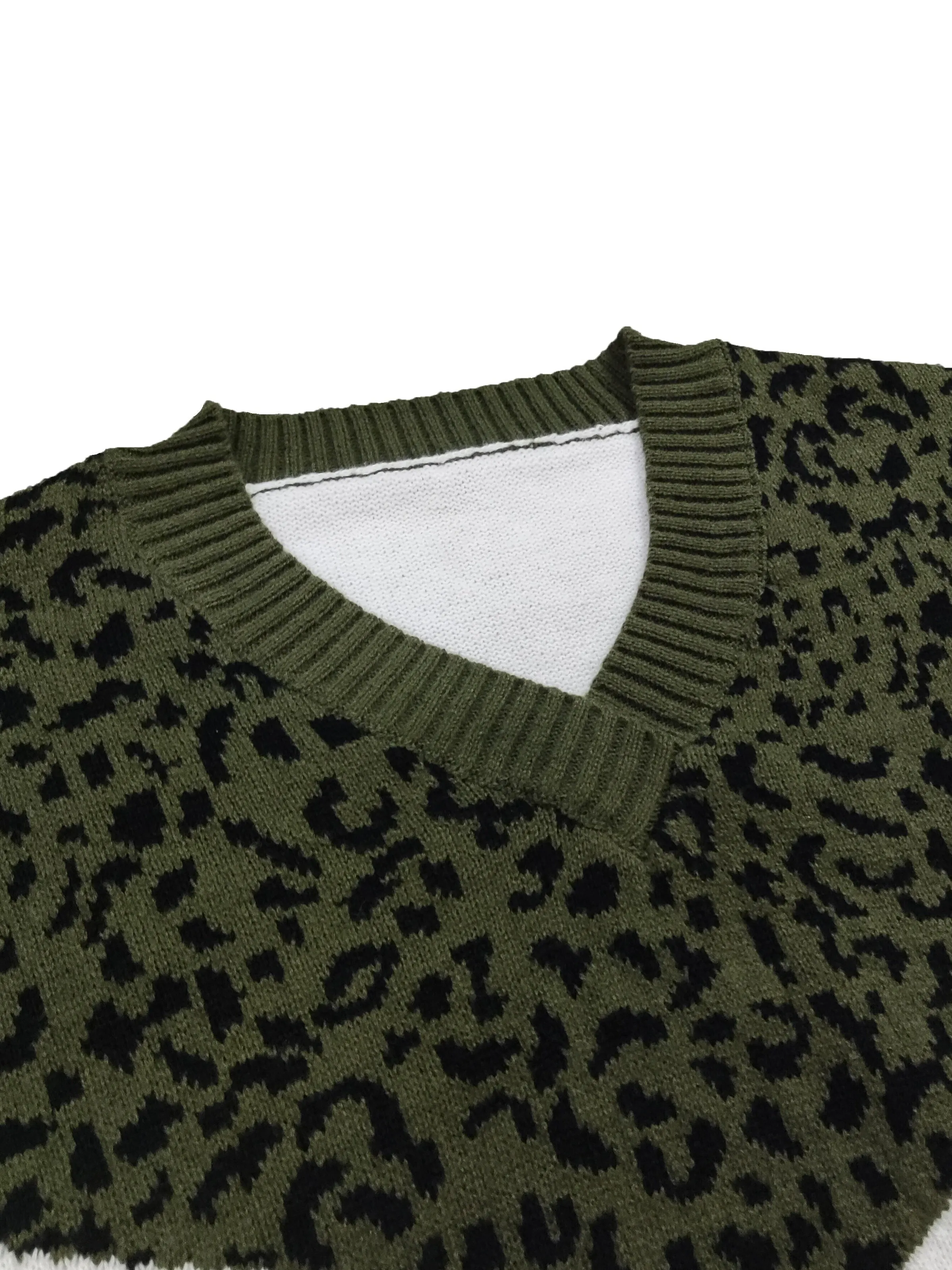 Women's Plus Colorblock Leopard Print V-Neck Pullover Sweater - Embrace Style with Every Curve