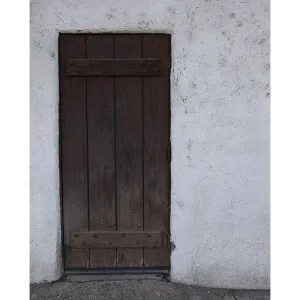 Wooden Door Printed Backdrop