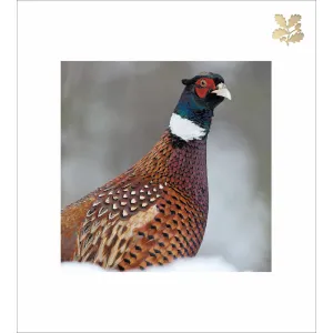 Woodmansterne Pheasant in the Snow Christmas Cards - Pack of 5