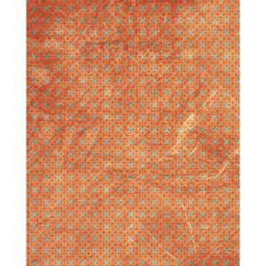 Worn Orange Flowers Printed Backdrop