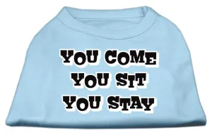 You Come, You Sit, You Stay Screen Print Shirts Baby Blue M (12)