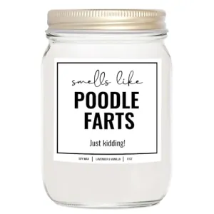 YouNique Designs Smells Like Poodle Farts Candle 8oz - Poodle Gifts for Poodle Lovers - Dog Farts Candle Poodle Gifts for Women, Men - Funny Poodle Dog Gifts, Poodle Décor (Lavender & Vanilla)