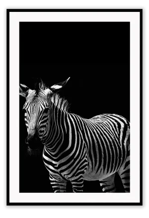 Zebra Black