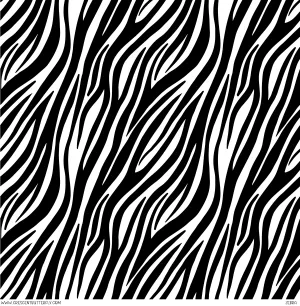 Zebra Vinyl Sheet/Wrap