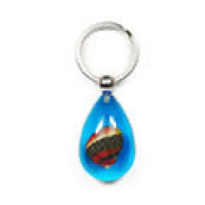 Zigzag Nerite Shell Keychain, Blue, Tear drop (OK203)