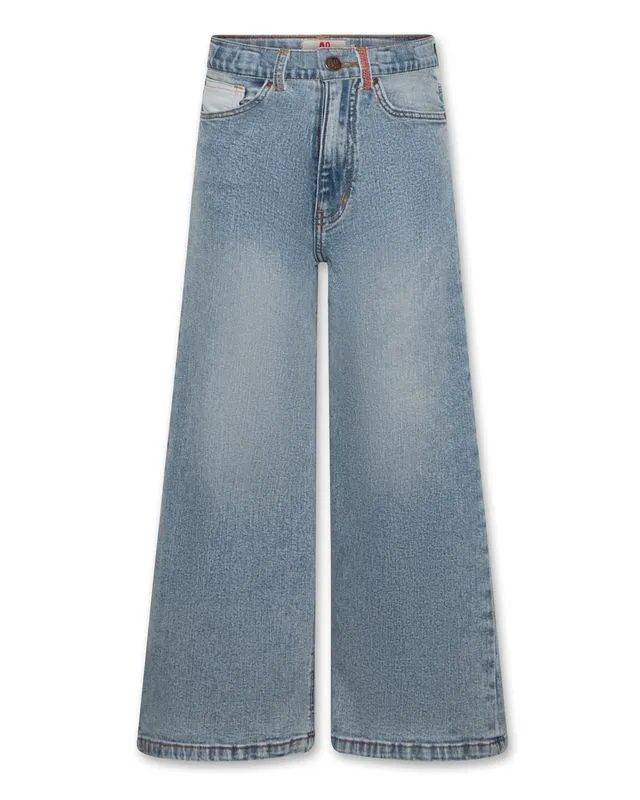 zina patch jeans pants  - wash light