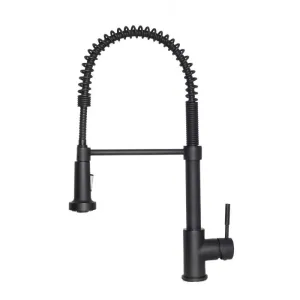 ZLINE Apollo Kitchen Faucet APL-KF-MB