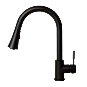 ZLINE Edison Kitchen Faucet FPBL-MB