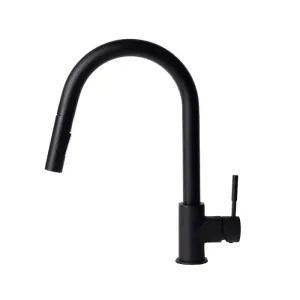 ZLINE Gemini Kitchen Faucet FPTF-MB