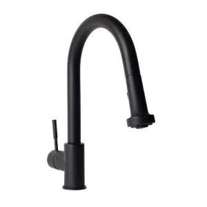 ZLINE Monet Kitchen Faucet FPNZ-MB