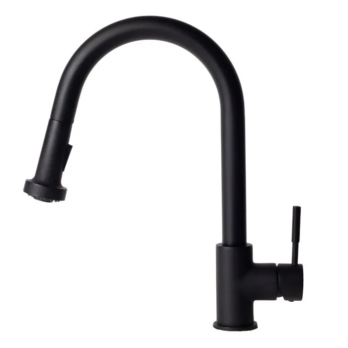 ZLINE Monet Kitchen Faucet FPNZ-MB