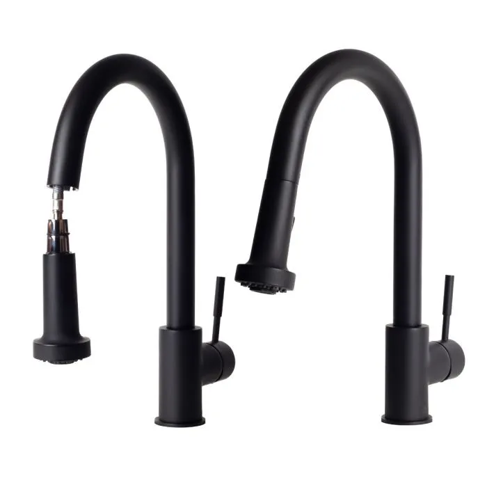 ZLINE Monet Kitchen Faucet FPNZ-MB